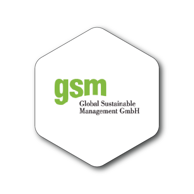 gsm logo