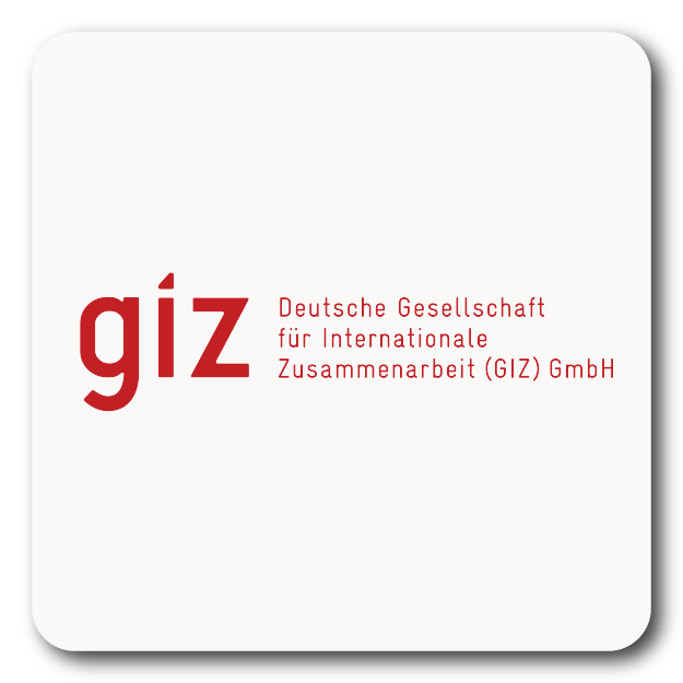 giz logo